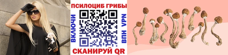 Галлюциногенные грибы MAGIC MUSHROOMS  где продают   Кинель 